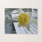 ダフォディルポートレートパズル ジグソーパズル (横)