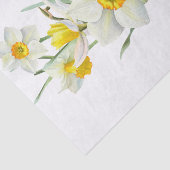ダフォディル春フラワーウォーター色 薄葉紙 (詳細)
