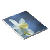 ダフォディル春 ノートパッド (アングル)