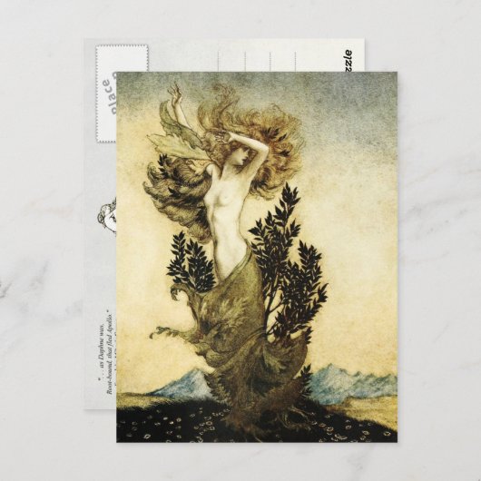 ダフネの木への変態 ポストカード (正面/裏面)