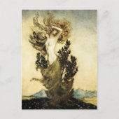 ダフネの木への変態 ポストカード (正面)