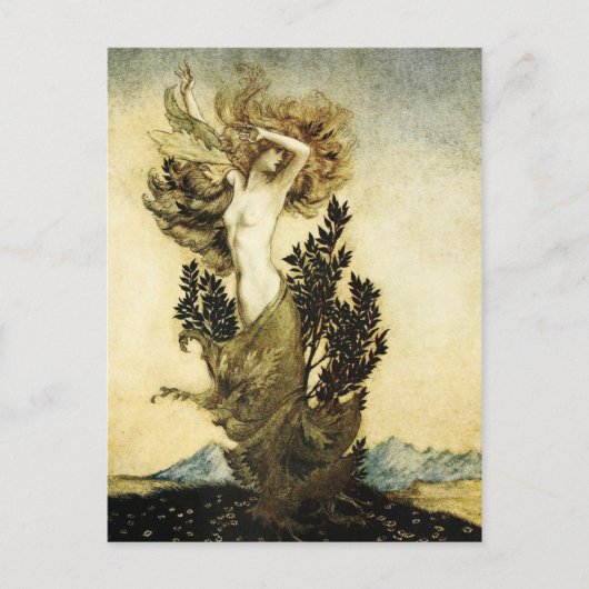 ダフネの木への変態 ポストカード (正面)