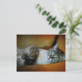 ダフネ ポストカード (スタンド正面)