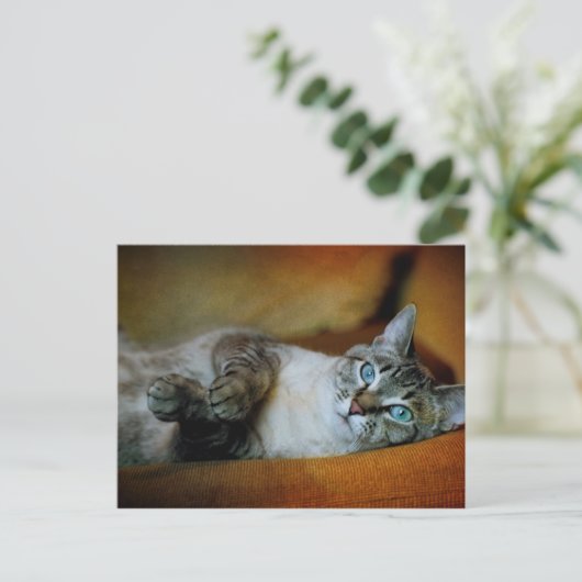 ダフネ ポストカード (スタンド正面)