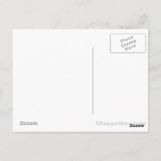 ダフネ ポストカード (裏面)