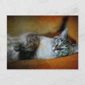 ダフネ ポストカード (正面)