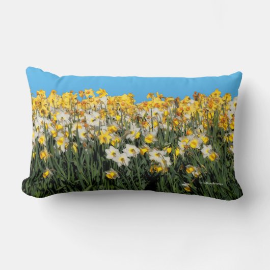 ダフ素晴らしオディルの花の2トーンのメドレー ランバークッション (正面)