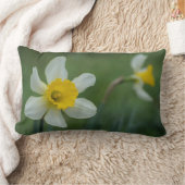 ダフ・オ・ディリー！ ランバークッション (ブランケット)