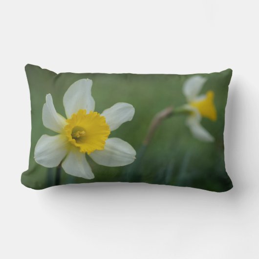 ダフ・オ・ディリー！ ランバークッション (正面)