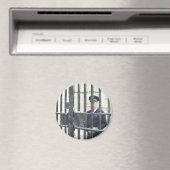 ダブリンに閉じ込められる マグネット (インサイチュ (食洗機))