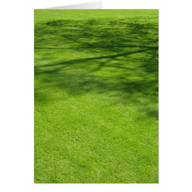 ダブリンの影 (正面)