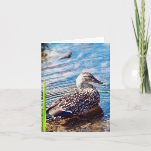 ダブリング・リプル カード (正面)