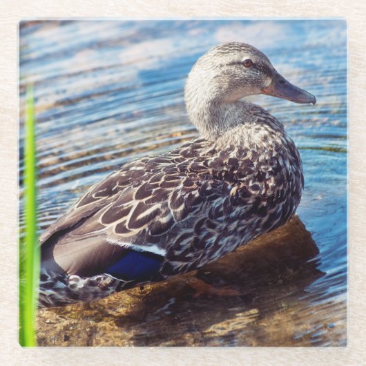 ダブリング・リプル ガラスコースター (正面)