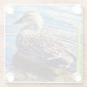 ダブリング・リプル ガラスコースター (裏面)