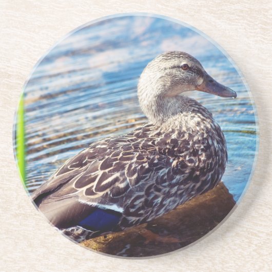 ダブリング・リプル コースター (正面)