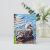 ダブリング・リプル ポストカード (スタンド正面)