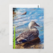 ダブリング・リプル ポストカード (正面/裏面)