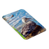 ダブリング・リプル マグネット (右側)