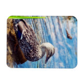 ダブリング・リプル マグネット (横)