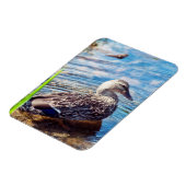 ダブリング・リプル マグネット (左側)