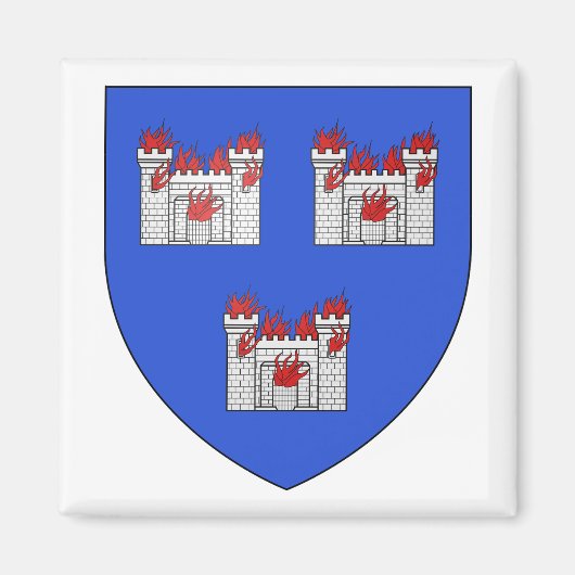 ダブリンコート・オブ・アームズ マグネット (正面)