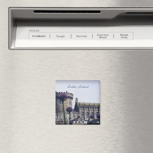 ダブリン磁石 マグネット (インサイチュ (食洗機))