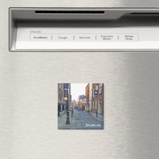 ダブリン マグネット (インサイチュ (食洗機))