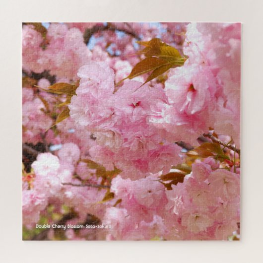 ダブルさくらんぼの花:佐藤桜 ジグソーパズル (横)