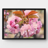 ダブルさくらんぼの花：寒山 フォトプラーク (正面)