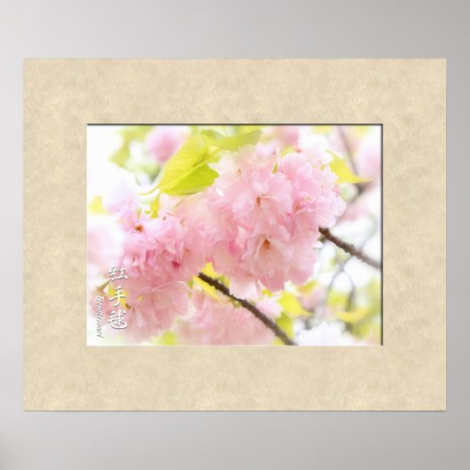 ダブルさくらんぼの花：弁手鞠 ポスター (正面)