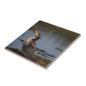 ダブルの鵜 タイル (側面)