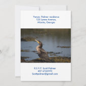 ダブルの鵜 招待状 (裏面)