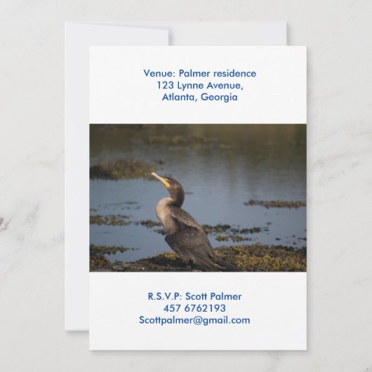 ダブルの鵜 招待状 (裏面)