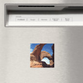 ダブルアーチマグネット マグネット (インサイチュ (食洗機))