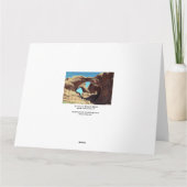 ダブルアーチユタ砂漠の風景の写真 カード (裏面)