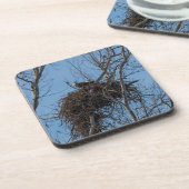 ダブルイーグル問題 コースター (左側)