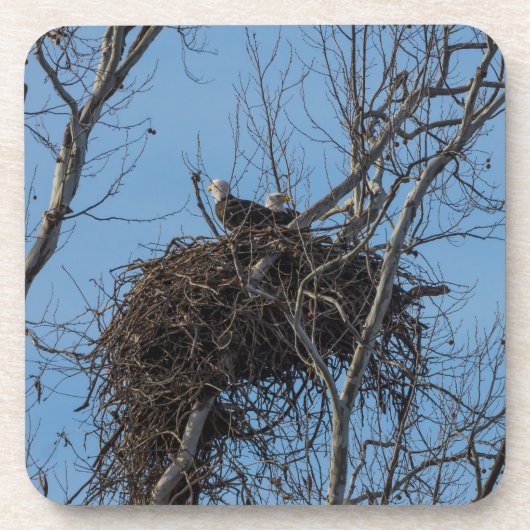 ダブルイーグル問題 コースター (正面)