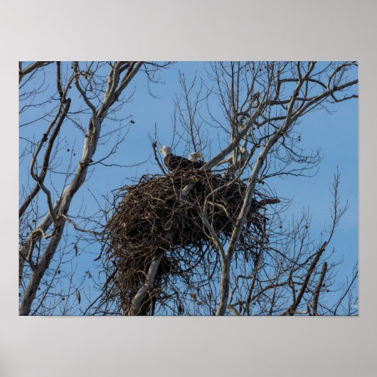 ダブルイーグル問題 ポスター (正面)