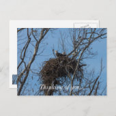 ダブルイーグル問題 ポストカード (正面/裏面)