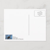 ダブルイーグル問題 ポストカード (裏面)