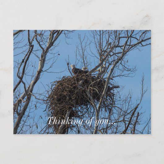 ダブルイーグル問題 ポストカード (正面)