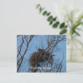 ダブルイーグル問題 ポストカード (スタンド正面)