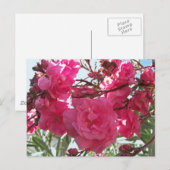 ダブルオレアンダー1 ポストカード (正面/裏面)