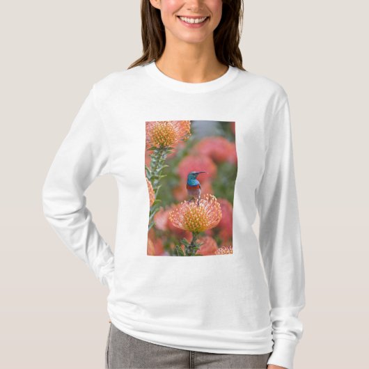 ダブルカラードサンバード Tシャツ (正面)