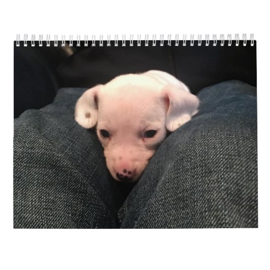 ダブルダシュント暦 カレンダー (裏面)