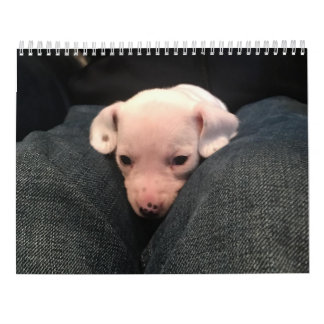 ダブルダシュント暦 カレンダー