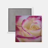 ダブルディライトバラ磁石 マグネット (正面/裏面)