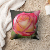 ダブルディライトバラ クッション (ブランケット)