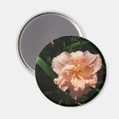 ダブルデイリー マグネット (正面/裏面)