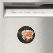 ダブルデイリー マグネット (インサイチュ (食洗機))